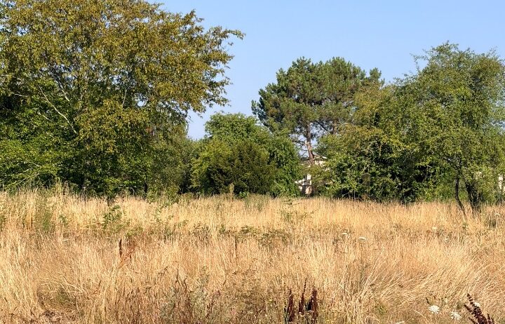 votre maison de 90m2 sur un terrain de 505m2 sur la commune de Le Taillan-Médoc au prix de 375000&euro; avec Alpha Constructions